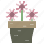 floweret, horticulture, plant, pot 