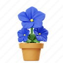 blue petunnia, potted flower, flower, garden, nature, floral, botanical, plant, decoration 