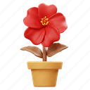 flower, hibiscus flower, potted flower, garden, nature, floral, botanical, plant, decoration 