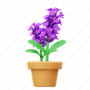 lavender, potted flower, flower, garden, nature, floral, botanical, plant, decoration 