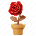 rose, potted flower, flower, garden, nature, floral, botanical, plant, decoration 