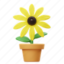 rudbeckia, potted flower, flower, garden, nature, floral, botanical, plant, decoration 