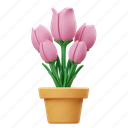 tulip, flower, floral, garden, tulip bud, nature, blossom, spring, plant 