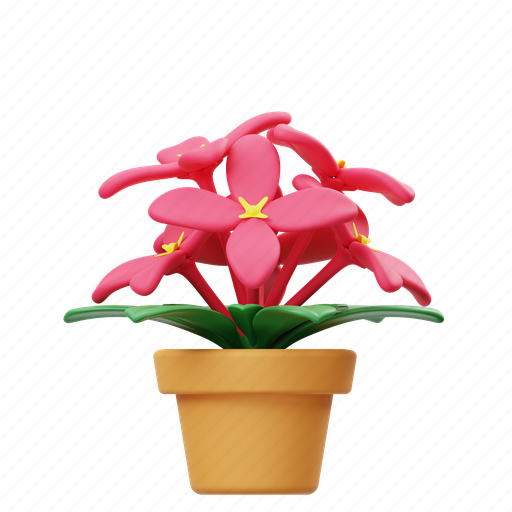 Asoca, potted flower, flower, garden, nature, floral, botanical 3D illustration - Download on Iconfinder