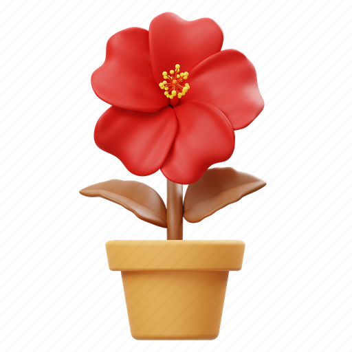 Flower, hibiscus flower, potted flower, garden, nature, floral, botanical 3D illustration - Download on Iconfinder