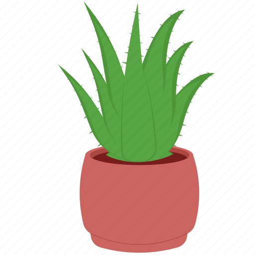 Plant, aloe vera, potted plant, houseplant, plant pot, leaf, leaves icon - Download on Iconfinder