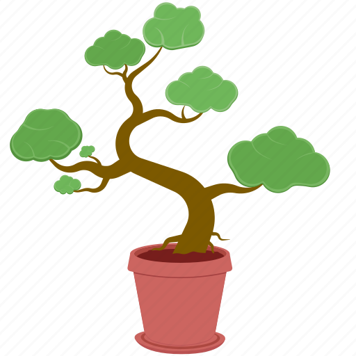 Bonsai, potted plant, plant, houseplant, plant pot, leaf, leaves icon - Download on Iconfinder