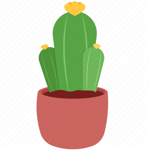 Cactus, plant, potted plant, houseplant, plant pot, leaf, leaves icon - Download on Iconfinder