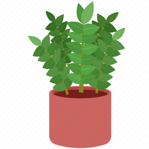 Plant, creeping dollar, potted plant, houseplant, plant pot, leaf, leaves icon - Download on Iconfinder