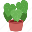 elephant, plant, potted, potted plant, houseplant, plant pot, leaf, leaves, decoration 