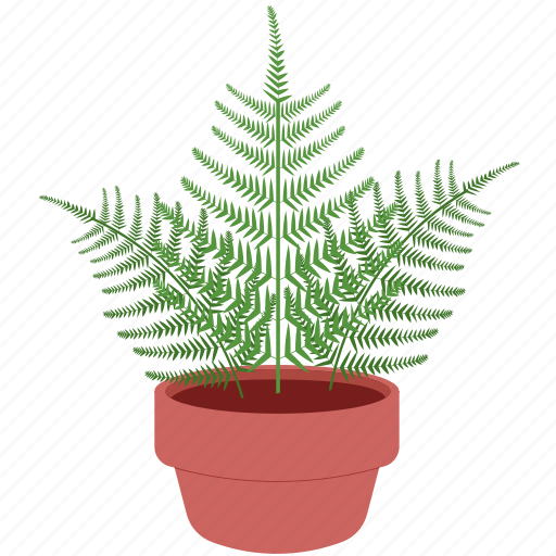 Fern, plant, potted plant, houseplant, plant pot, leaf, leaves icon - Download on Iconfinder