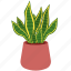 plant, potted plant, houseplant, plant pot, indoor plant, leaf, leaves, pot, decoration 