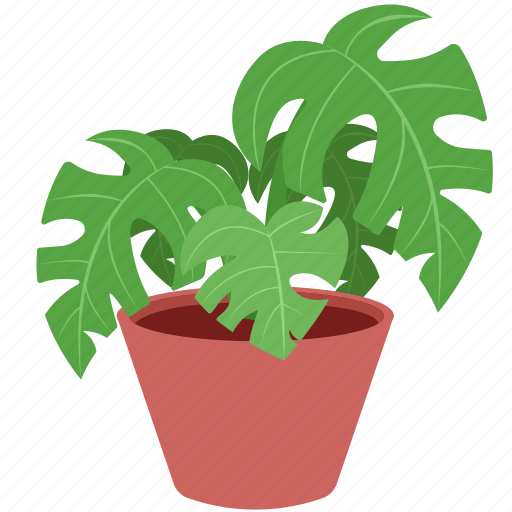 Plant, potted plant, houseplant, plant pot, leaf, leaves, pot icon - Download on Iconfinder