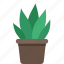 plant, potted plant, flower, garden 