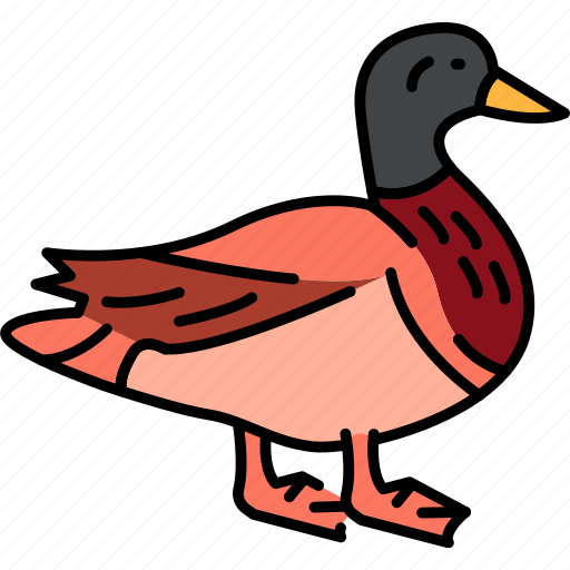 Bird, mallard, wild, duck icon - Download on Iconfinder