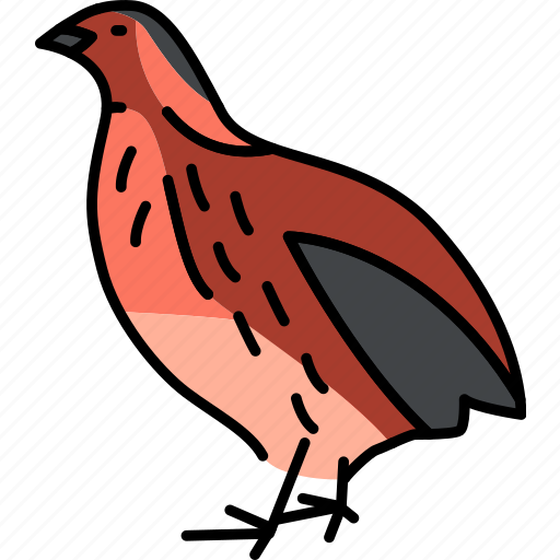 Bird, quail, poultry icon - Download on Iconfinder