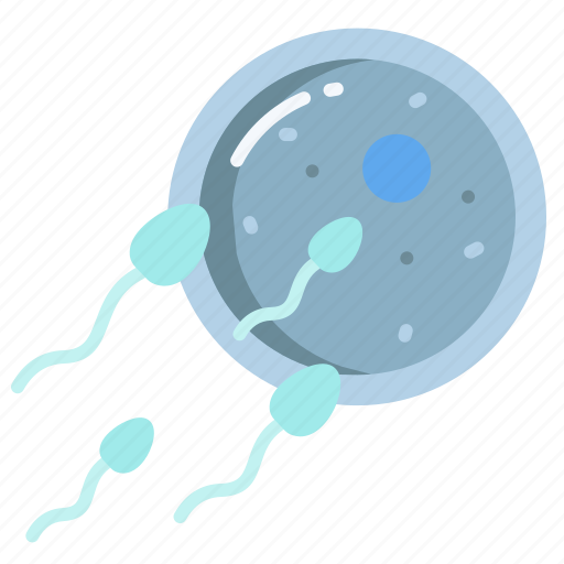 Egg, sperm icon - Download on Iconfinder on Iconfinder