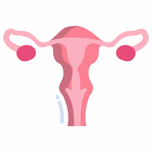 Reproductive, system icon - Download on Iconfinder