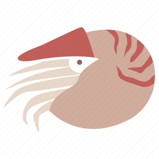 Cephalopod, creature, mollusc, nautilus, prehistoric, sea, shellfish icon - Download on Iconfinder
