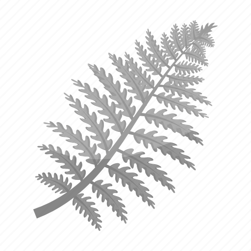 Ecology, fern, forest, leaf, nature, plant icon - Download on Iconfinder