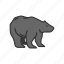 animal, bear, bear market, polar bear 