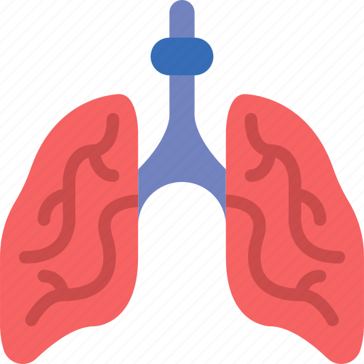 Doctor, hospital, lungs, medic, medicine icon - Download on Iconfinder