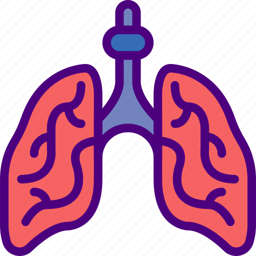 Doctor, hospital, lungs, medic, medicine icon - Download on Iconfinder
