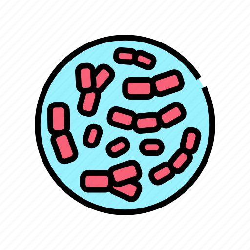 Bifidobacterium, probiotics, bacterium, capsule, lactococcus, linear icon - Download on Iconfinder