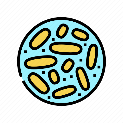 Lactobacillus, probiotics, bacterium, capsule, lactococcus, linear icon - Download on Iconfinder