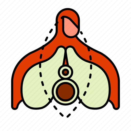 Clitoris, female, reproductive system, sex, woman icon - Download on Iconfinder