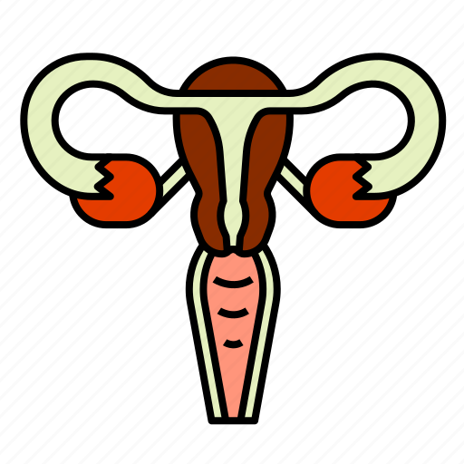 Female, reproductive system, uterus, vagina, woman icon - Download on Iconfinder