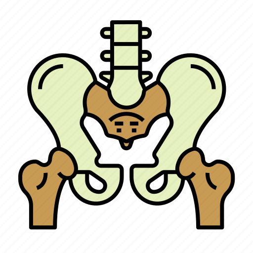 Bones, pelvic bones icon - Download on Iconfinder