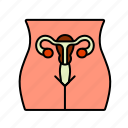 area, female, ovary, pubic, reproductive, system, vagina