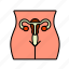 area, female, ovary, pubic, reproductive, system, vagina 