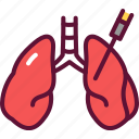 biopsy, lung, organ