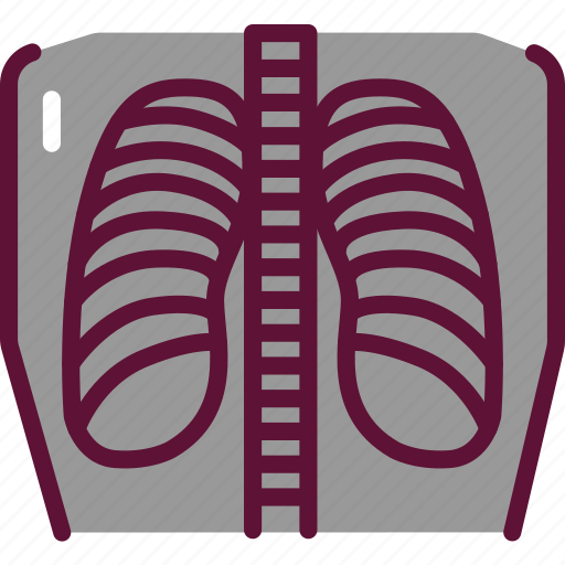 Lung, photo, fluorography icon - Download on Iconfinder