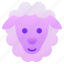 sheep, lamb, sheep head, lamb head, sheep farm 