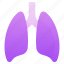 lungs, human lungs, respirator system, human organ, internal organ 