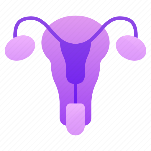 Reproductive system, human reproductive, female reproductive system, uterus, internal organ icon - Download on Iconfinder