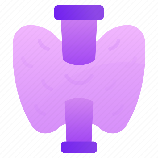 Thyroid, human thyroid, thyroid anatomy, larynx, thyroid gland icon - Download on Iconfinder