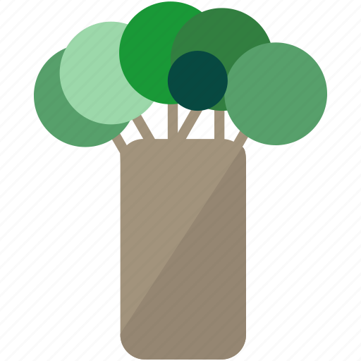 Baobab tree, rain forest, tree icon - Download on Iconfinder