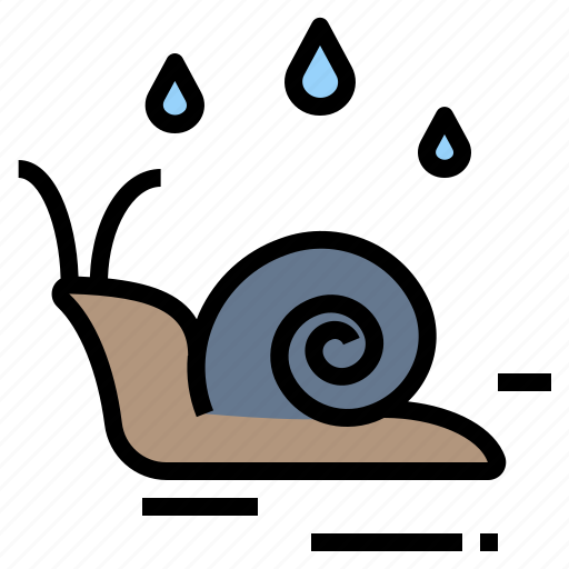 Animal, gastropod, moisture, rainy, snail, wet icon - Download on Iconfinder