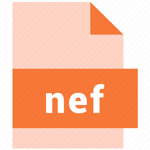 Document, extension, file, nef, raster image file format, type icon - Download on Iconfinder