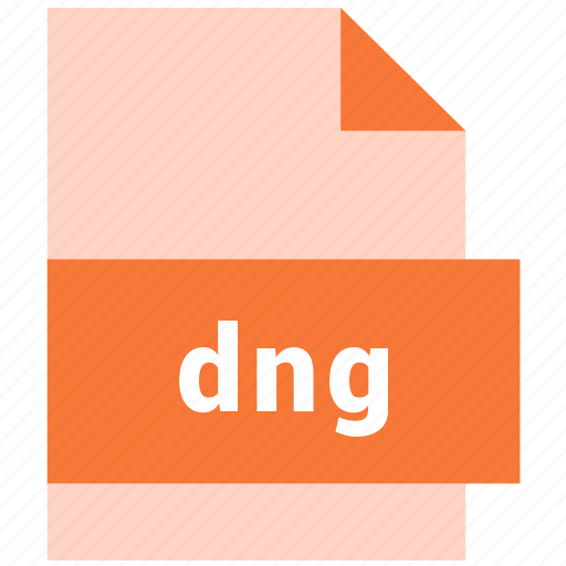 Dng, raster image file format icon - Download on Iconfinder