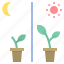 day, night, growth, plant, nature 