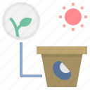 seed, sprout, light, growth, plant