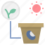 seed, sprout, light, growth, plant 