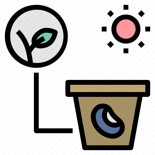 Seed, sprout, light, growth, plant icon - Download on Iconfinder
