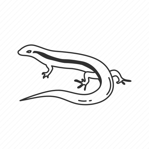 Lizard, reptile, animal, small lizard, stripped lizard icon - Download on Iconfinder