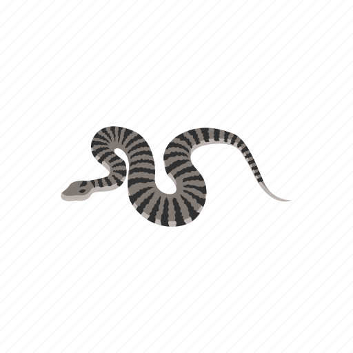 Animal, death adder snake, elapid snake, reptile, serpent, snake icon - Download on Iconfinder